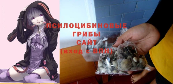 2c-b Гусь-Хрустальный