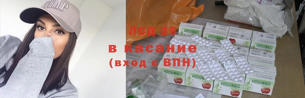 spice Гусев
