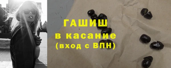 spice Гусев