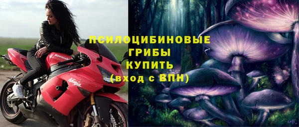 spice Гусев