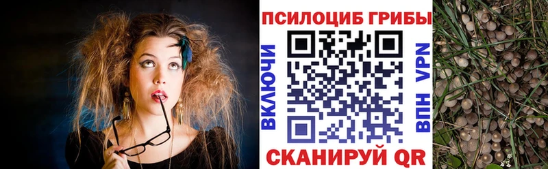 Псилоцибиновые грибы мухоморы  Купить  Кинель 